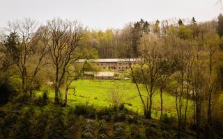 Le Lignely - Durbuy - 8