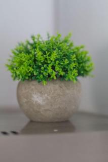 Apartman Franc S - 9