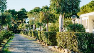Ibiscus Beach Village - Follonica - 9