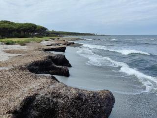 Rotonda Sul Mare - Budoni - 2