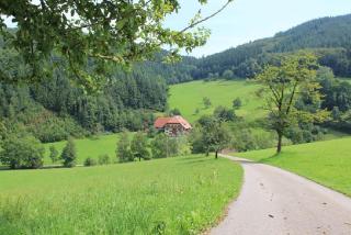 Geigerbauernhof - Mühlenbach - 3
