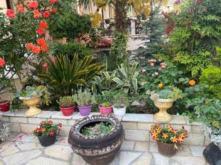 In The Castle II- House - Ioannina - 5