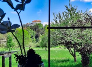 Deerwood-2-Storey Garden Apartment with Castle view Balcony - Bled - 9