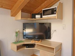 Apartment Frischmann-3 by Interhome - 1