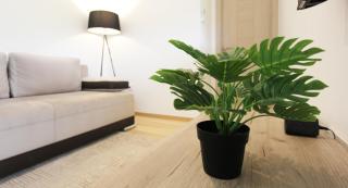 Cozy one bedroom apartment in Tivat - 5