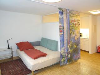 Edith`s Apartment - Gmunden - 1