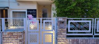 Magnolia - Alezio - 2