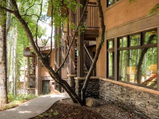 Aspenwood by Snowmass Vacations - 9