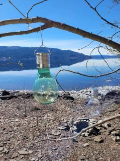 Unique Glamping on the beach 35 min from Oslo - Nes - 8