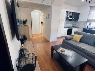 Apartman Three Queens - Rijeka - 7