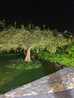 Casa Rosa - Elice - 6