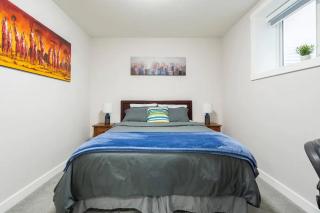 The PLUSH Suite - 3