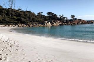 Lillybell Beach Retreat-Binalong Bay - Binalong Bay - 7