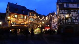 Narcisse - Colmar - 4