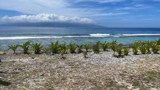 Moorea Lodge - Temae - 7