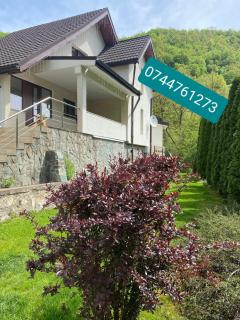 Casa dintre Brazi Hunedoara - Hunedoara - 9