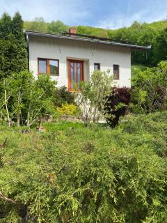 Casa dintre Brazi Hunedoara - Hunedoara - 3