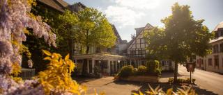 Ferienresidenz Brauneberger Hof - Brauneberg - 8