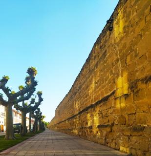 El Rincón de Pilar - Casalarreina - 1