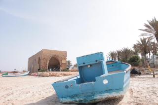 Dor on the beach - 9