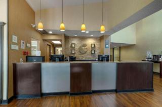Comfort Suites DFW Airport - Irving - 7