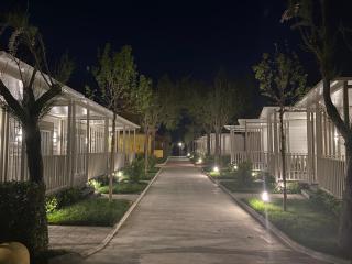 Camping Led Zeppelin - 3