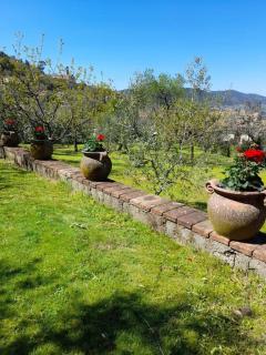 Appartamento con giardino e parcheggio riservato - Narni - 4
