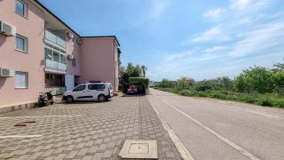 Ivy - Novigrad - 1