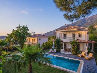 Hanel Life Royale 2 Villa With Private Pool - 6