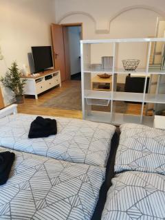 Gemütliche Ferienwohnung - Torgau - 8