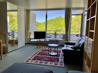 Appartement an der Helenenquelle - Bad Pyrmont - 0