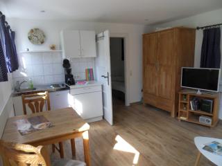 Tiny House im Landhaus Wiesenbad - Thermalbad Wiesenbad - 7