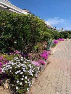 port nature 5 - Cap d'Agde - 1