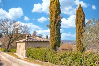 Verzure - Montingegnoli - 9