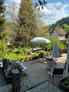 Kleines Haus Silberdistel - Todtmoos - 1