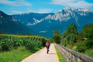 la farfalla di Susà - Pergine Valsugana - 3