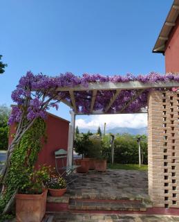 B&B Le Stagioni - Loreto Aprutino - 6