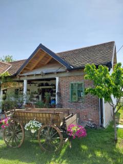 Amanet House Zasavica - Zasavica - 7