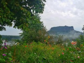 Apartment in the "Saxon Switzerland" region - Struppen - 6