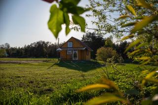 Na Piaskach Agroturystyka Domek pod Lipą - Narol - 8