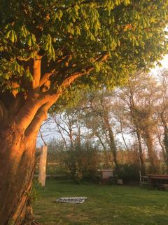 Lowlander BnB - Heemskerk - 1