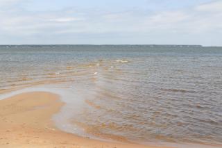 Gizmo's Getaway - Nags Head - 6