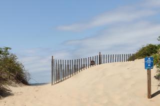 Gizmo's Getaway - Nags Head - 3
