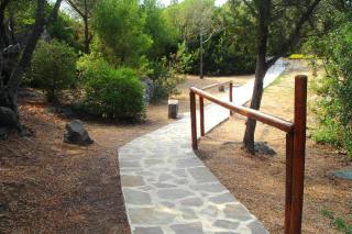 Apartment in Porto Rotondo with bar - Porto Rotondo - 7