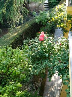 ROSE'S GARDEN - zona tranquilla - vicino Torino - 2