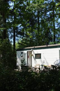 Sfeervol vakantiehuisje in bosrijke omgeving - 7