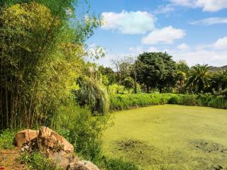 Farmhouse in Montemor near Forest and Lake - 2