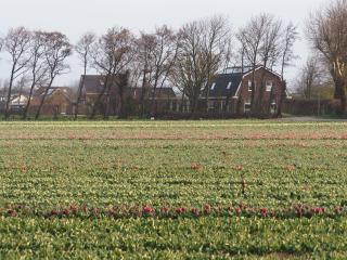 Lowlander BnB - Heemskerk - 2