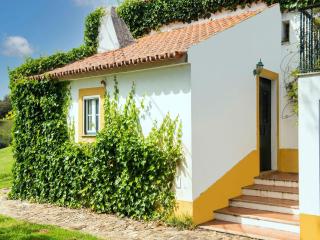 House with authentic tiling and antique furniture - Montemor-o-Novo - 2