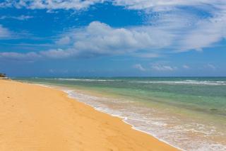 Islander Ocean Resort Condo # 166 - 6